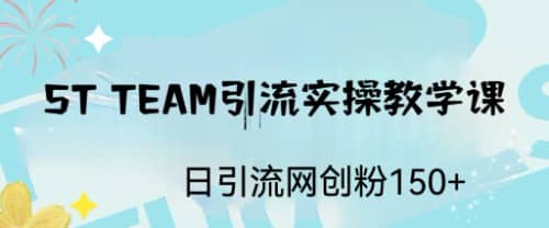ST TEAM引流实操课，日引流网创粉100|媒矿库
