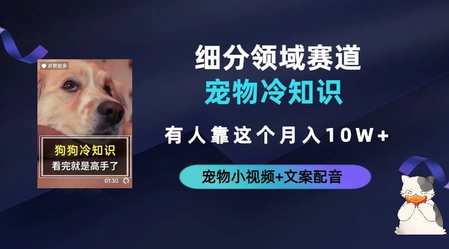 不起眼的抖音细分赛道-宠物冷知识，一段宠物视频配文案，有人靠这个月入10w|媒矿库