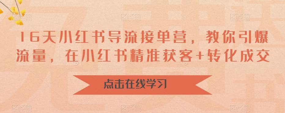16天-小红书 导流接单营，教你引爆流量，在小红书精准获客 转化成交|媒矿库