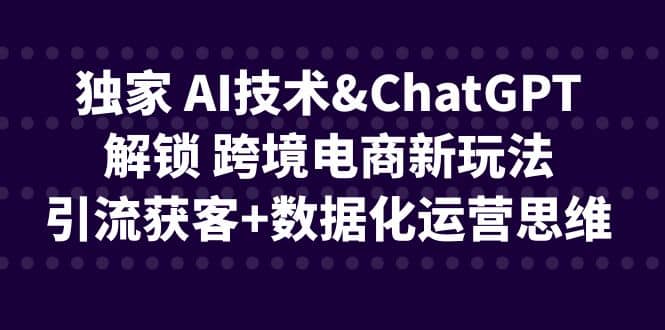 独家 AI技术ChatGPT解锁 跨境电商新玩法,引流获客 数据化运营思维|媒矿库
