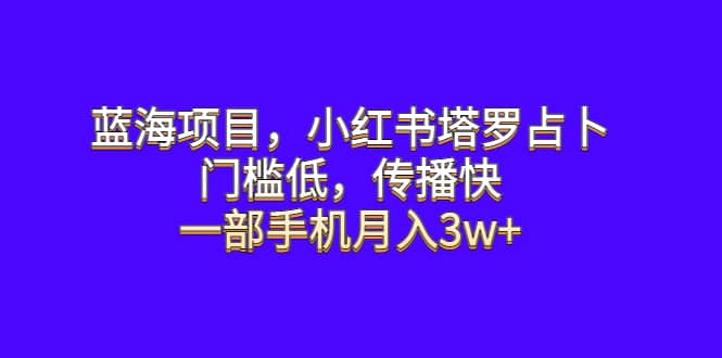 蓝海项目，小红书塔罗占卜，门槛低，传播快，一部手机月入3w|媒矿库