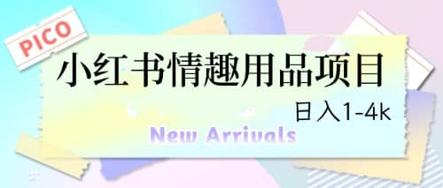 最新小红书情趣用品项目，日入1-4k|媒矿库