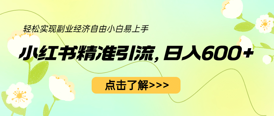小红书精准引流，小白日入600 ，轻松实现副业经济自由（教程 1153G资源）|媒矿库