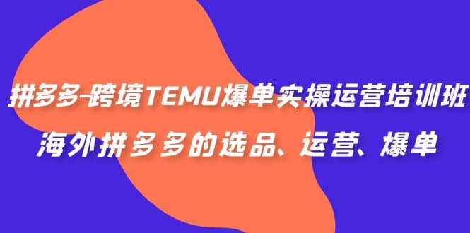 拼多多-跨境TEMU爆单实操运营培训班，海外拼多多的选品、运营、爆单|媒矿库