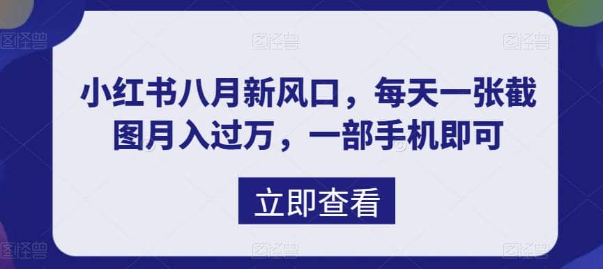 八月新风口，小红书虚拟项目一天收入1000 ，实战揭秘|媒矿库