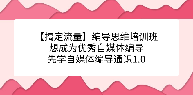 【搞定流量】编导思维培训班，想成为优秀自媒体编导先学自媒体编导通识1.0|媒矿库