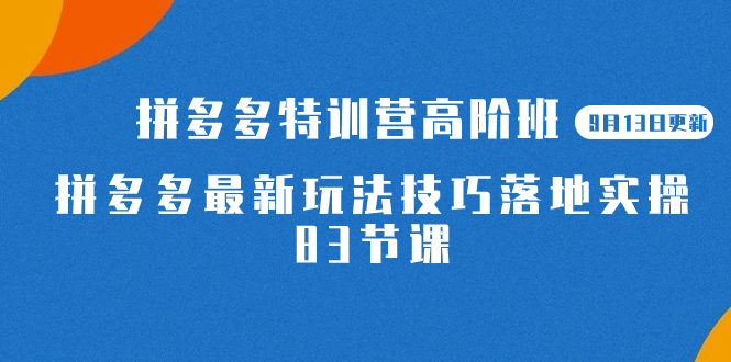 2023拼多多·特训营高阶班【9月13日更新】拼多多最新玩法技巧落地实操-83节|媒矿库