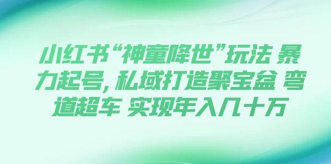 小红书“神童降世”玩法 暴力起号,私域打造聚宝盆 弯道超车 实现年入几十万|媒矿库