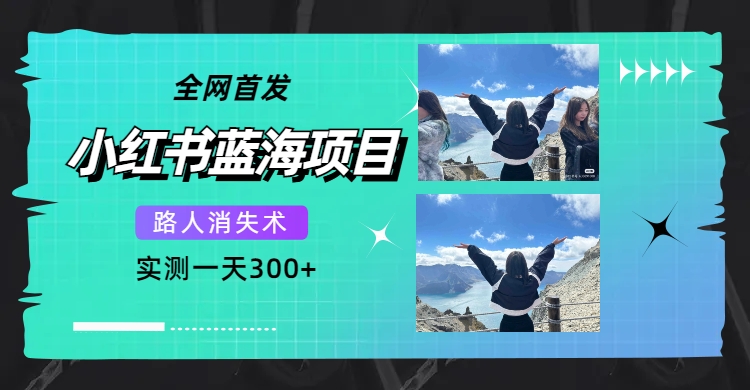 全网首发，小红书蓝海项目，路人消失术，实测一天300 （教程 工具）|媒矿库