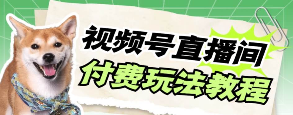 视频号美女付费无人直播，轻松日入500 【详细玩|媒矿库