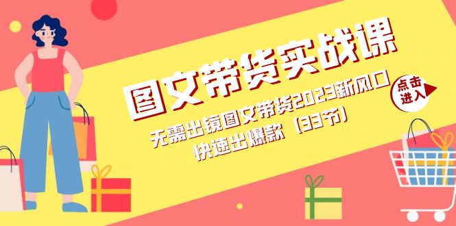 图文带货实战课：无需出镜图文带货2023新风口，快速出爆款（33节）|媒矿库