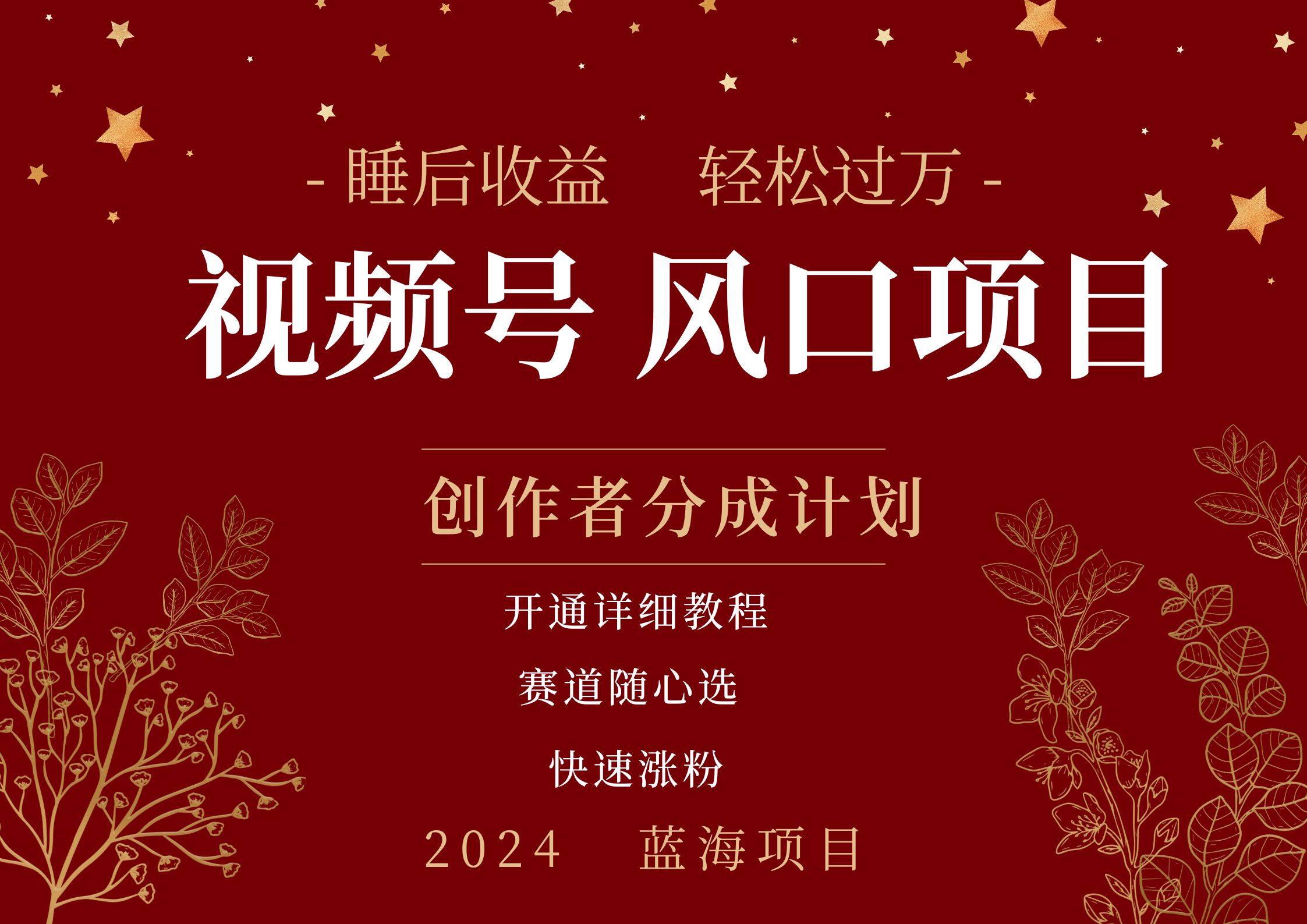 拥有睡眠收益的微信视频号大风口项目，轻松月入过万+，多赛道选择，可矩阵，玩法简单轻松上手|媒矿库