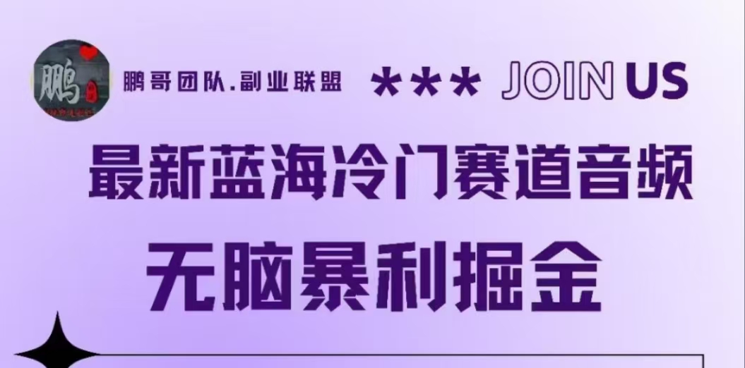 最新蓝海冷门赛道音频，无脑暴利掘金|媒矿库