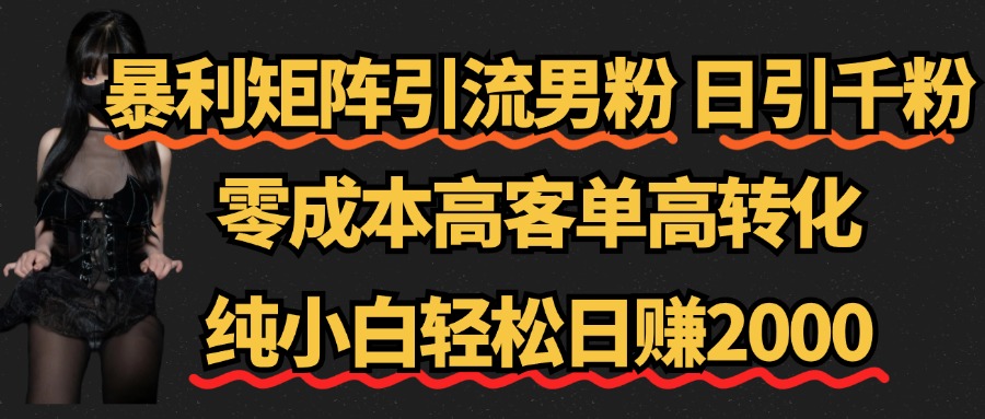 暴利矩阵引流男粉（日引千粉），零成本高客单高转化，纯小白轻松日赚2000+|媒矿库