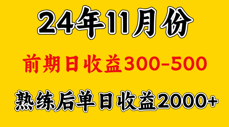 轻资产项目，前期日收益500左右，后期日收益1500-2000左右，多劳多得|媒矿库