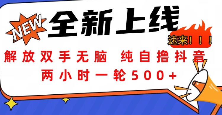 解放双手无脑 纯自撸抖音 两小时一轮500+|媒矿库