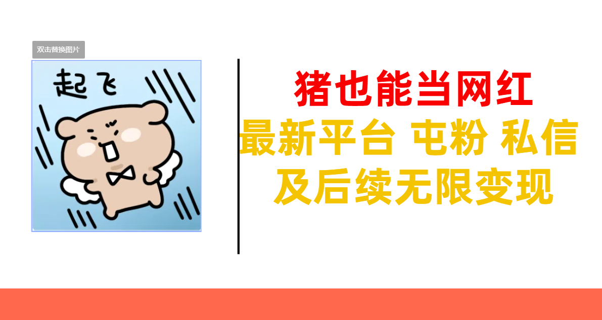 猪也能当网红-最新平台 屯粉 交流 私信 及后续无限变现|媒矿库