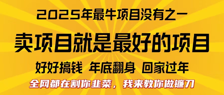 全网都在割你韭菜，我来教你做镰刀。卖项目就是最好的项目，2025年最牛互联网项目|媒矿库