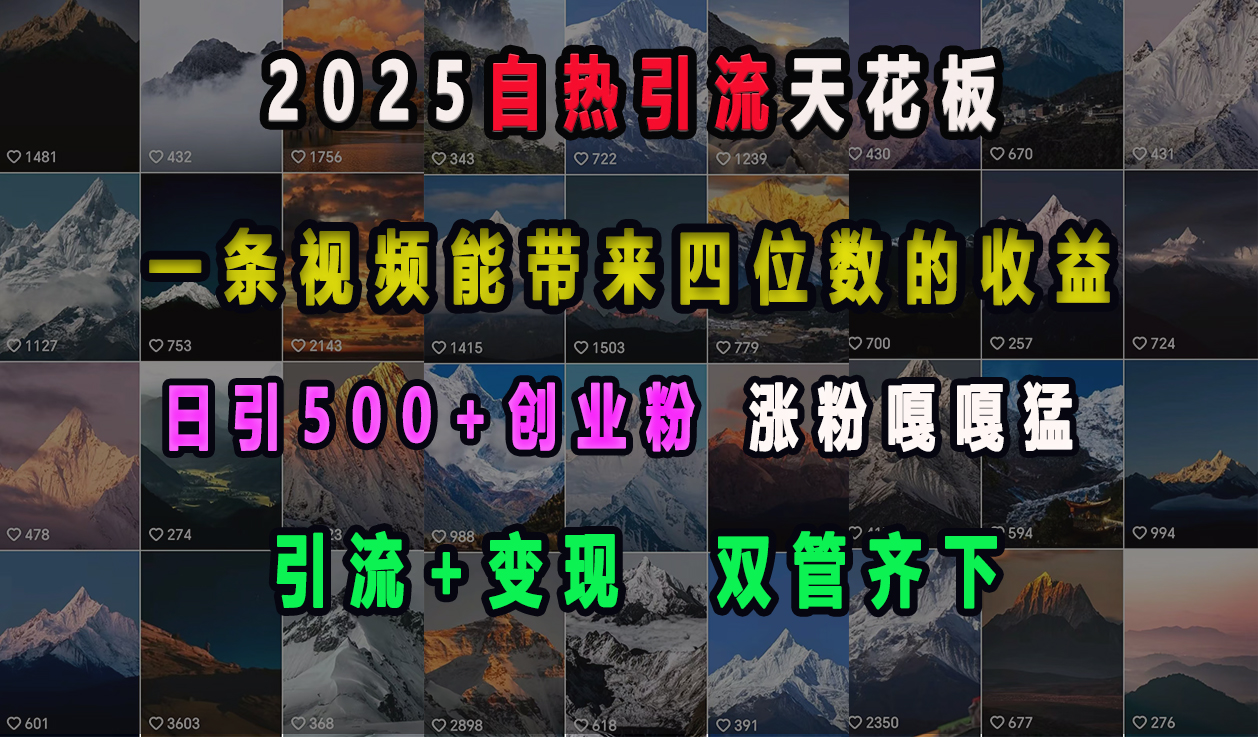 2025自热引流天花板,一条视频能带来四位数的收益,引流+变现双管齐下,日引500+创业粉,涨粉嘎嘎猛|媒矿库