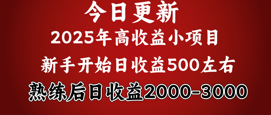 好项目一眼就能看出来，日收益1000，长久可做，2025拼的就是我比你勤奋|媒矿库