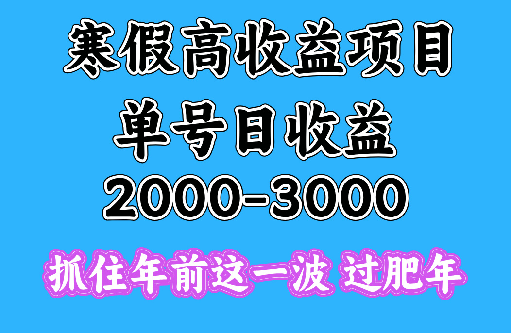 寒假期间一天收益2000-3000+，抓住年前这一波|媒矿库
