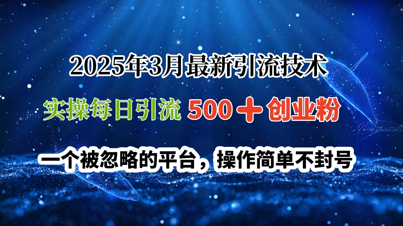 2025年3月最新引流技术，实操每日引流500➕创业粉，一个被忽略的平台，操作简单不封号|媒矿库