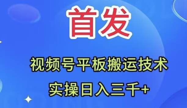 全网首发：视频号平板搬运技术，实操日入三千＋|媒矿库
