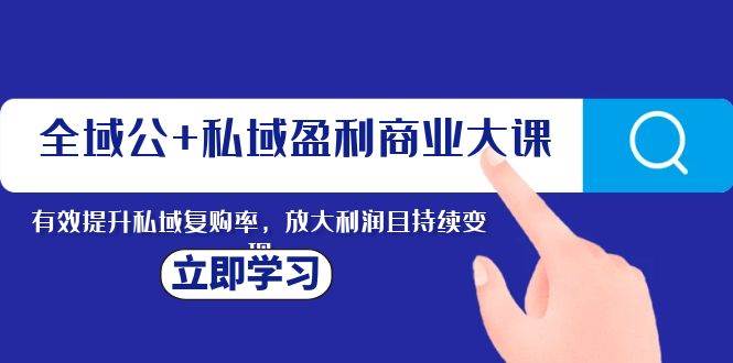 全域公 私域盈利商业大课，有效提升私域复购率，放大利润且持续变现|媒矿库