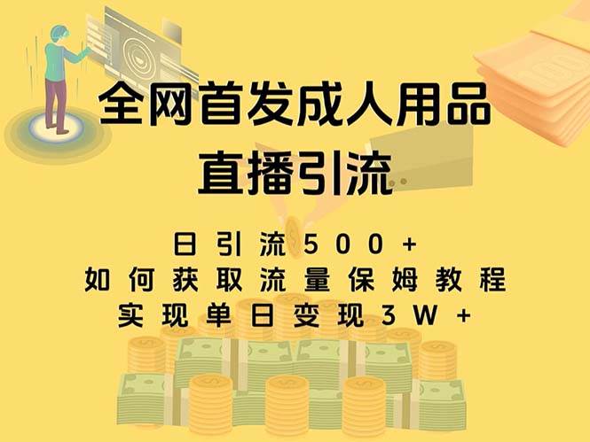 最新全网独创首发，成人用品直播引流获客暴力玩法，单日变现3w保姆级教程|媒矿库