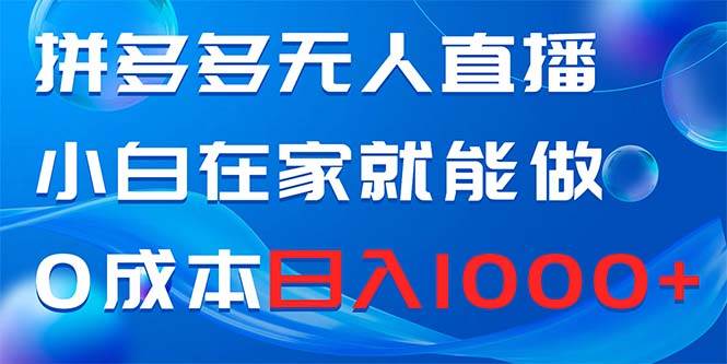 拼多多无人直播，小白在家就能做，0成本日入1000+|媒矿库
