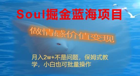 Soul掘金蓝海项目细分赛道，做情感价值变现，月入2w+不是问题|媒矿库