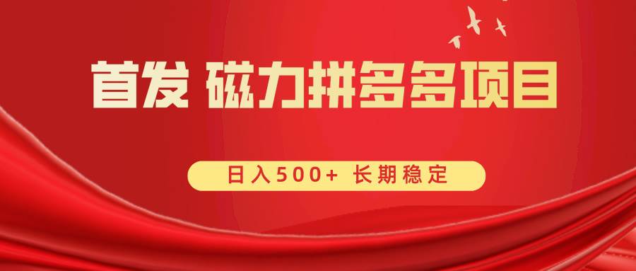 首发 磁力拼多多自撸  日入500+|媒矿库