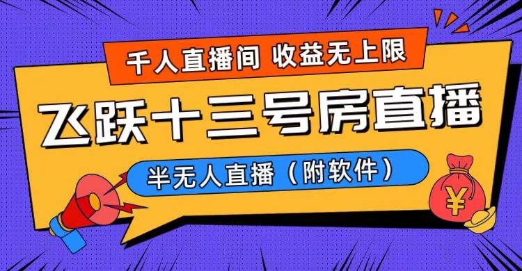 爆火飞跃十三号房半无人直播，一场直播上千人，日入过万！（附软件）|媒矿库