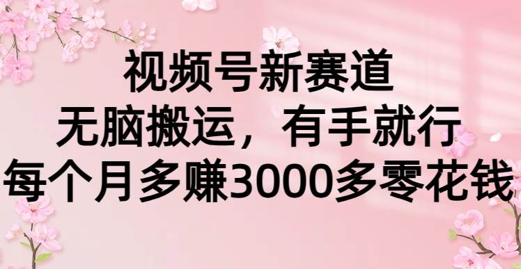 视频号新赛道，无脑搬运，有手就行，每个月多赚3000多零花钱|媒矿库