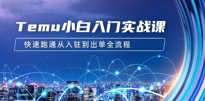 Temu小白入门实战课:跨境拼多多电商培训 快速跑通从入驻到出单全流程-12节|媒矿库