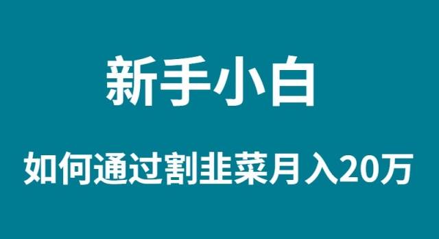 新手小白如何通过割韭菜月入 20W|媒矿库