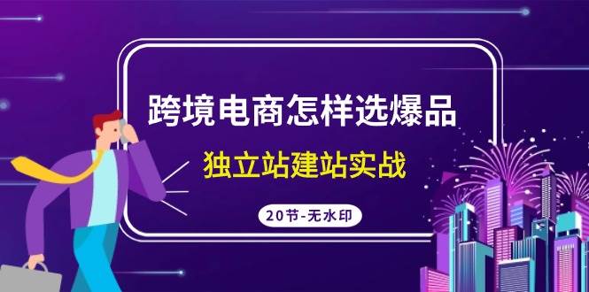跨境电商怎样选爆品，独立站建站实战（20节高清无水印课）|媒矿库