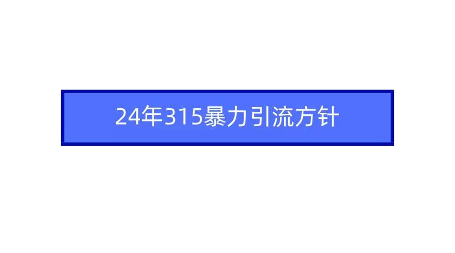 2024年315暴力引流方针|媒矿库
