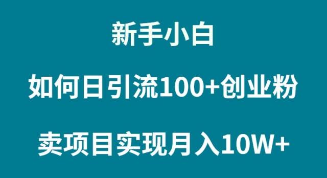 新手小白如何通过卖项目实现月入10W+|媒矿库
