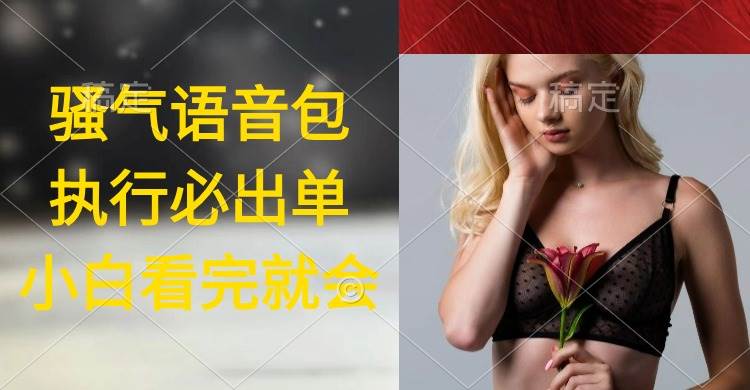 执行就出单，日入2000+，超火骚气语音包，小白看完课程就能马上实操|媒矿库