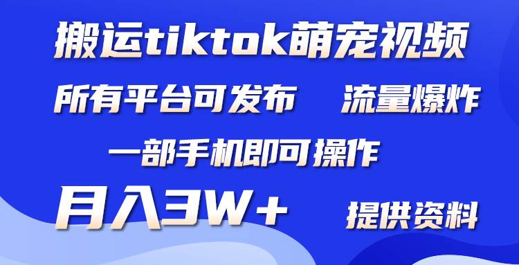 搬运Tiktok萌宠类视频，一部手机即可。所有短视频平台均可操作，月入3W+|媒矿库