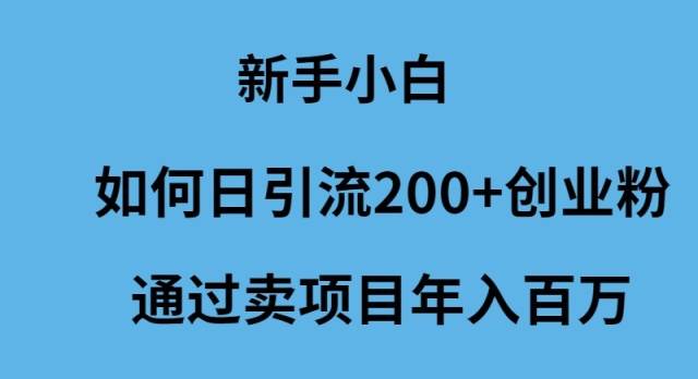 新手小白如何日引流200+创业粉通过卖项目年入百万|媒矿库