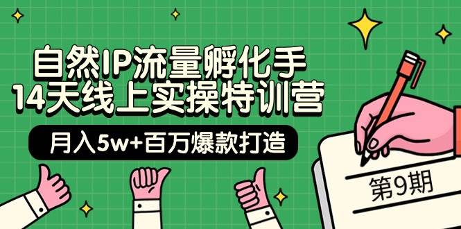 自然IP流量孵化手 14天线上实操特训营【第9期】月入5w+百万爆款打造 (74节)|媒矿库