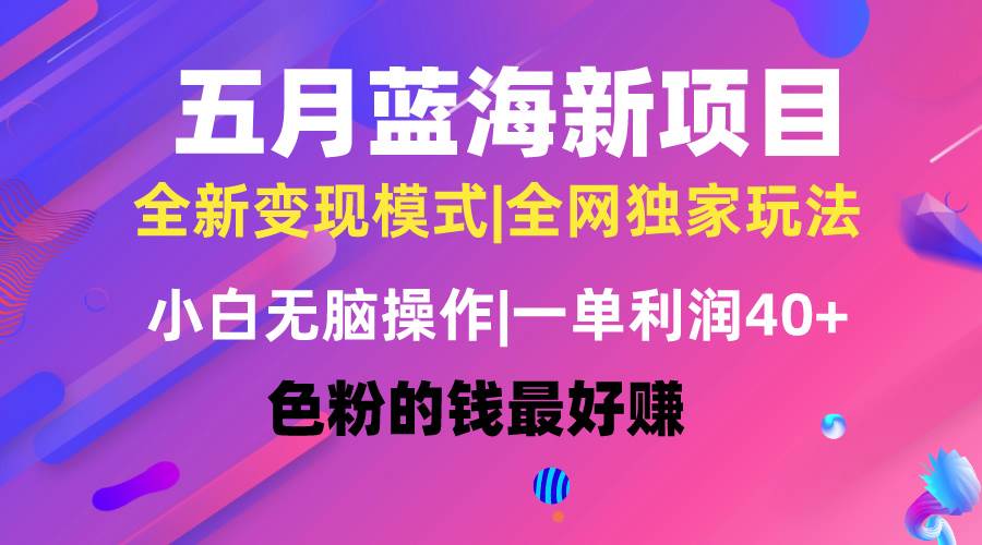 五月蓝海项目全新玩法,小白无脑操作,一天几分钟,矩阵操作,月入4万+|媒矿库