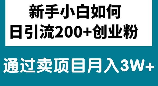 新手小白日引流200+创业粉,通过卖项目月入3W+|媒矿库