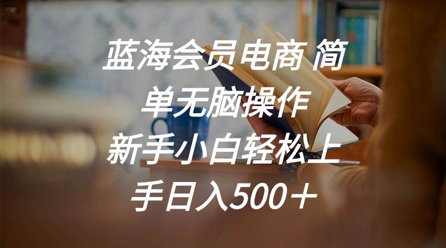蓝海会员电商 简单无脑操作 新手小白轻松上手日入500＋|媒矿库