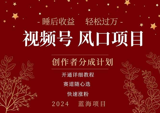 拥有睡眠收益的微信视频号大风口项目，轻松月入过万+，多赛道选择，可...|媒矿库