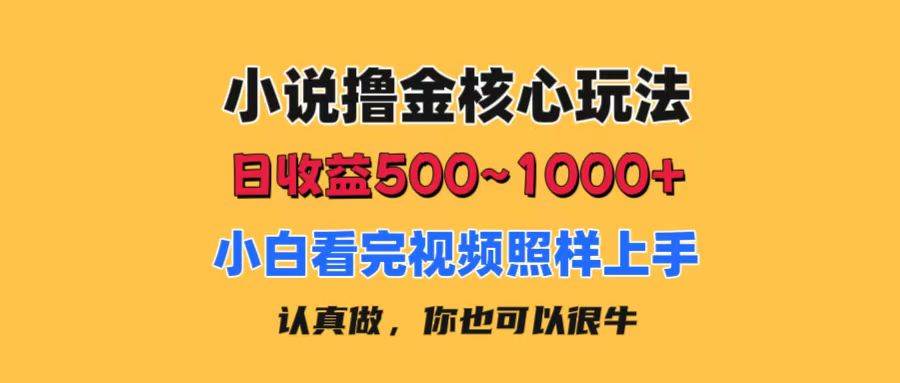 小说撸金核心玩法，日收益500-1000+，小白看完照样上手，0成本有手就行|媒矿库