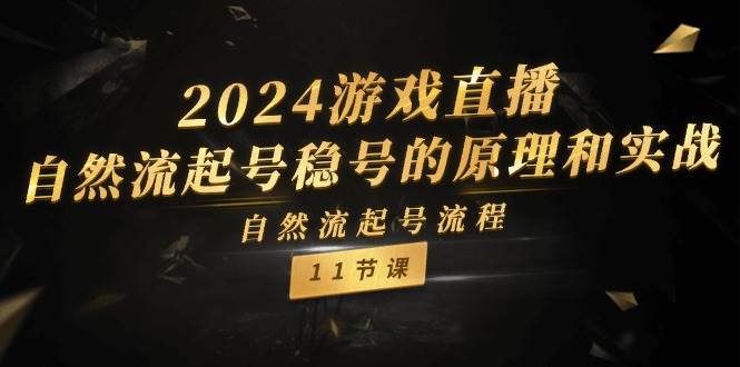 2024游戏直播-自然流起号稳号的原理和实战，自然流起号流程（11节）|媒矿库